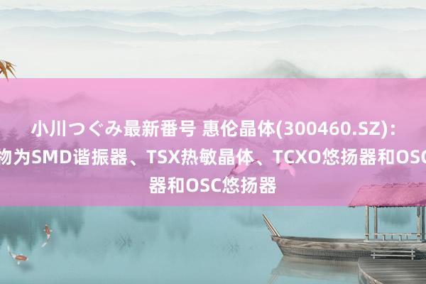 小川つぐみ最新番号 惠伦晶体(300460.SZ)：主要产物为SMD谐振器、TSX热敏晶体、TCXO悠扬器和OSC悠扬器