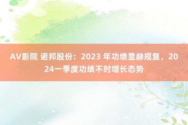 AV影院 诺邦股份：2023 年功绩显赫规复，2024一季度功绩不时增长态势