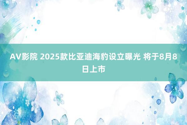 AV影院 2025款比亚迪海豹设立曝光 将于8月8日上市