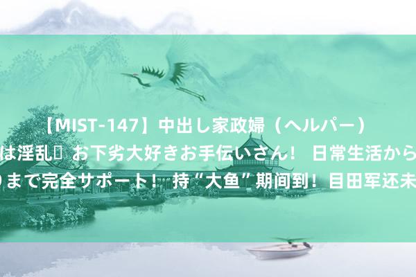 【MIST-147】中出し家政婦（ヘルパー） 清楚で美人な出張家政婦は淫乱・お下劣大好きお手伝いさん！ 日常生活から夜の性活で子作りまで完全サポート！ 持“大鱼”期间到！目田军还未起先，敌东说念主全现身？事情居然不绵薄