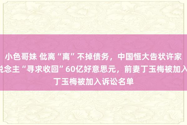 小色哥妹 仳离“离”不掉债务，中国恒大告状许家印等7东说念主“寻求收回”60亿好意思元，前妻丁玉梅被加入诉讼名单