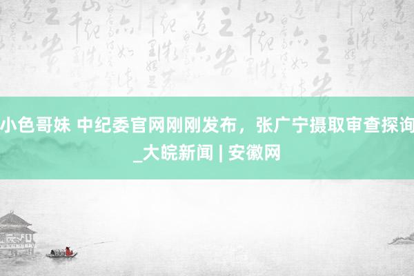 小色哥妹 中纪委官网刚刚发布，张广宁摄取审查探询_大皖新闻 | 安徽网