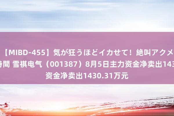 【MIBD-455】気が狂うほどイカせて！絶叫アクメ50連発4時間 雪祺电气（001387）8月5日主力资金净卖出1430.31万元