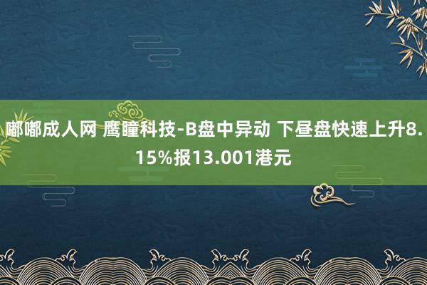 嘟嘟成人网 鹰瞳科技-B盘中异动 下昼盘快速上升8.15%报13.001港元