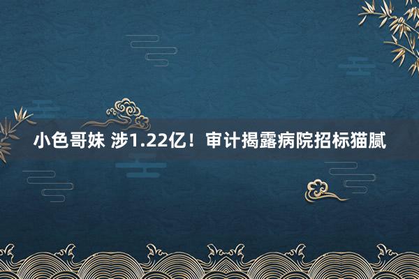 小色哥妹 涉1.22亿！审计揭露病院招标猫腻