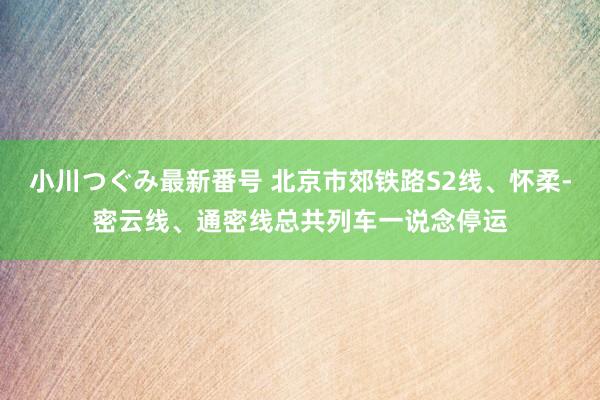 小川つぐみ最新番号 北京市郊铁路S2线、怀柔-密云线、通密线总共列车一说念停运