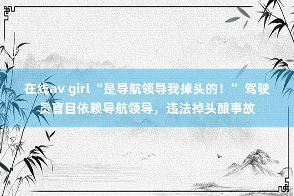 在线av girl “是导航领导我掉头的！” 驾驶员盲目依赖导航领导，违法掉头酿事故