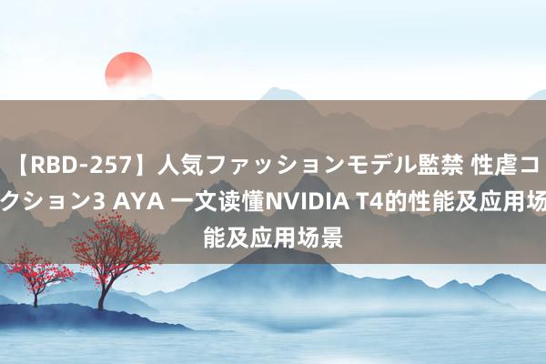 【RBD-257】人気ファッションモデル監禁 性虐コレクション3 AYA 一文读懂NVIDIA T4的性能及应用场景