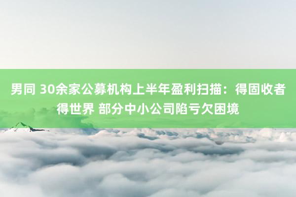 男同 30余家公募机构上半年盈利扫描：得固收者得世界 部分中小公司陷亏欠困境