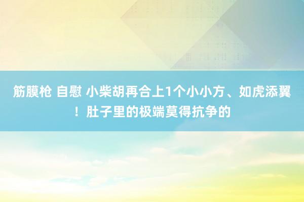 筋膜枪 自慰 小柴胡再合上1个小小方、如虎添翼！肚子里的极端莫得抗争的