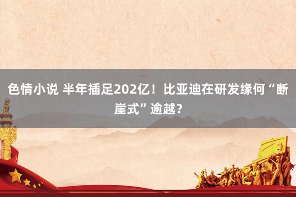 色情小说 半年插足202亿！比亚迪在研发缘何“断崖式”逾越？