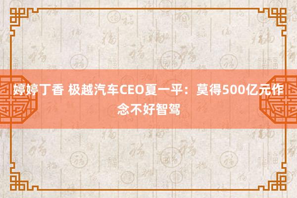 婷婷丁香 极越汽车CEO夏一平：莫得500亿元作念不好智驾