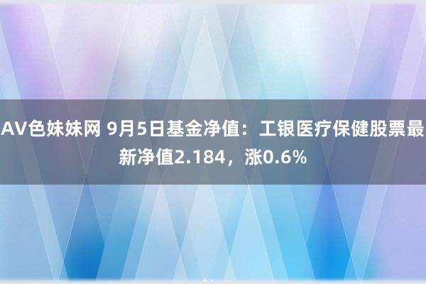 AV色妹妹网 9月5日基金净值：工银医疗保健股票最新净值2.184，涨0.6%