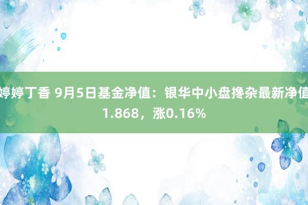 婷婷丁香 9月5日基金净值：银华中小盘搀杂最新净值1.868，涨0.16%