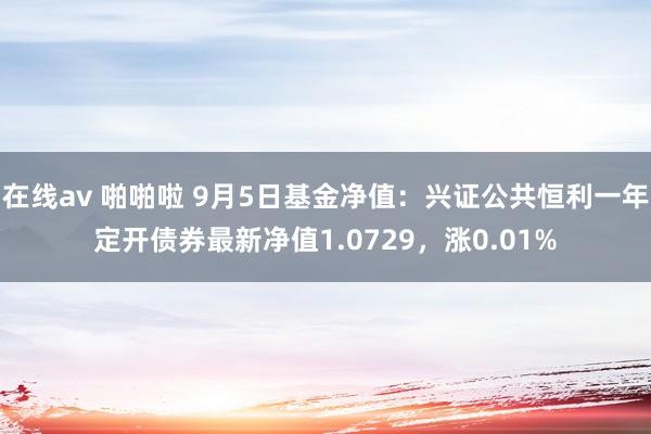 在线av 啪啪啦 9月5日基金净值：兴证公共恒利一年定开债券最新净值1.0729，涨0.01%