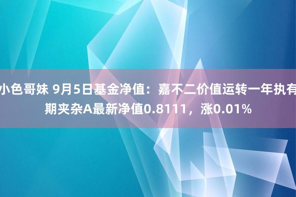 小色哥妹 9月5日基金净值：嘉不二价值运转一年执有期夹杂A最新净值0.8111，涨0.01%