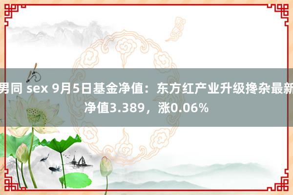 男同 sex 9月5日基金净值：东方红产业升级搀杂最新净值3.389，涨0.06%