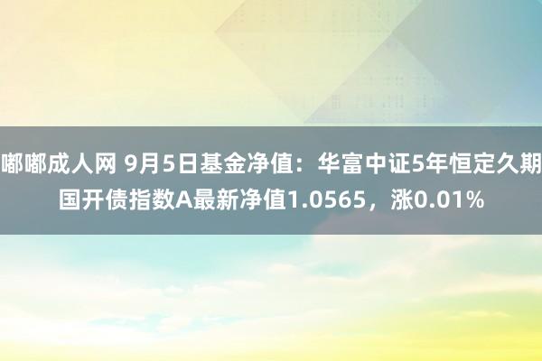 嘟嘟成人网 9月5日基金净值：华富中证5年恒定久期国开债指数A最新净值1.0565，涨0.01%