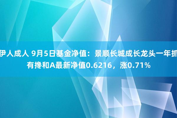 伊人成人 9月5日基金净值：景顺长城成长龙头一年抓有搀和A最新净值0.6216，涨0.71%