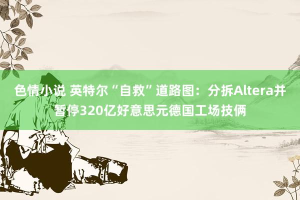 色情小说 英特尔“自救”道路图：分拆Altera并暂停320亿好意思元德国工场技俩