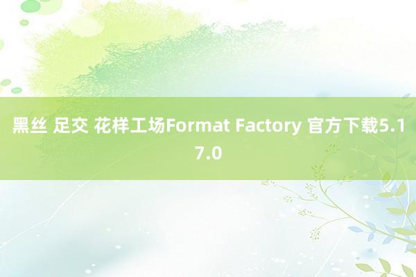 黑丝 足交 花样工场Format Factory 官方下载5.17.0