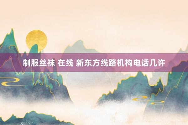 制服丝袜 在线 新东方线路机构电话几许