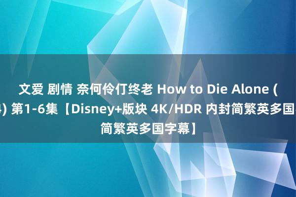 文爱 剧情 奈何伶仃终老 How to Die Alone (2024) 第1-6集【Disney+版块 4K/HDR 内封简繁英多国字幕】