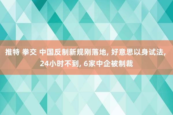 推特 拳交 中国反制新规刚落地, 好意思以身试法, 24小时不到, 6家中企被制裁